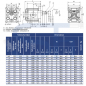 Preview: Hydraulikpumpe ViVoil - BG1 - 1,17ccm - Ø 30mm - Welle zylindrisch 12mm - Ölanschlüsse EURO Flansch - rechtsdrehend