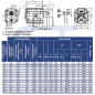 Preview: Hydraulikpumpe ViVoil - BG2 - 22,8ccm - Ø 50mm - Welle konisch 1:5 - Ölanschlüsse BOSCH Flansch - rechtsdrehend