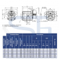 Preview: Hydraulikpumpe ViVoil - BG2 - 34,2ccm - Ø 82,5mm - Welle Verzahnt 16/32 DP - 10 Zähne SAE J498 - Ölanschlüsse BOSCH Flansch - linksdrehend