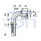 Preview: Pressarmatur DN10 - 12S - IG 90° - DKOS