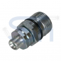 Preview: Schraubkupplung BG6 Stecker R 3/4"