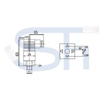 Druckschalter R 1/4" - 30-250 Bar - Wechsler - Druck und Hysterese einstellbar