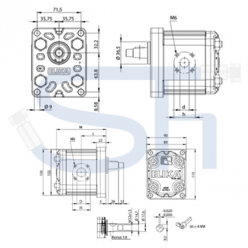 Low Noise - ELIKA - Hydraulikpumpe 11,4ccm - BG2 - Konus 1:8 - rechtsdrehend