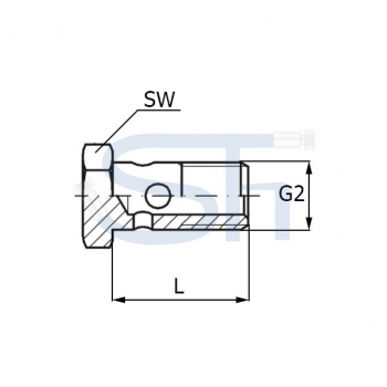 Hohlschraube M 20x1,5