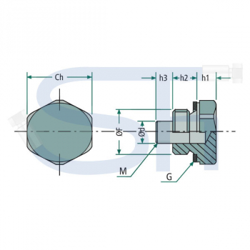 Magnetischer Ölablassstopfen R 1/4"