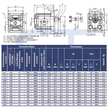 Zahnradmotor ViVoil - BG1 - 3,12ccm - Ø 25,40mm - Welle konisch 1:8 - Ölanschlüsse EURO Flansch - reversierbar