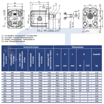 Zahnradmotor ViVoil - BG2 - 22,8ccm - Ø 36,5mm - Welle konisch 1:8 - Ölanschlüsse Innengewinde - reversierbar