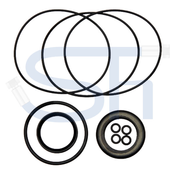 Dichtsatz für Ölmotor BMS