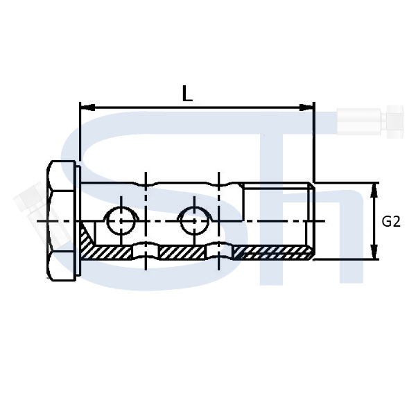 Doppelhohlschraube M 10x1