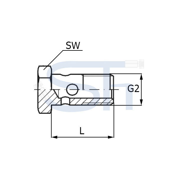 Hohlschraube R 1/2"